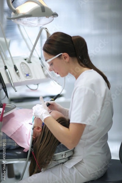 Fototapeta Profil młodego dentysty zapewniającego leczenie zębów odbudowujących
