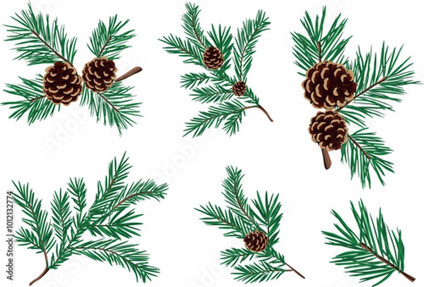 Fototapeta A set of green pine branches with Christmas balls. Vector illustration of a Christmas pine flower with large and small balls isolated on a white background.