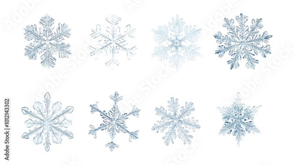 Fototapeta Set of diverse snowflakes isolated on white background, detailed macro photography of real snow crystals showcasing intricate patterns and unique shapes, winter nature close-up.
