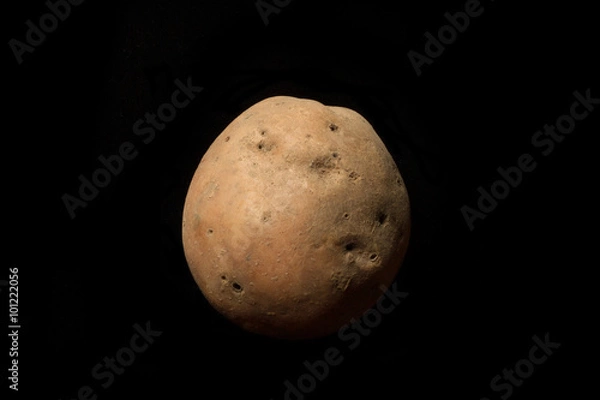 Obraz Potato on the black background