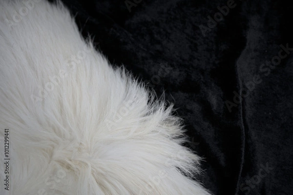 Fototapeta Flauschiges weißes Fell auf schwarzem Stoff unten links