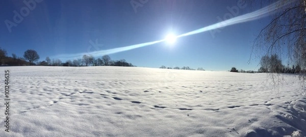 Obraz Winterpanorama