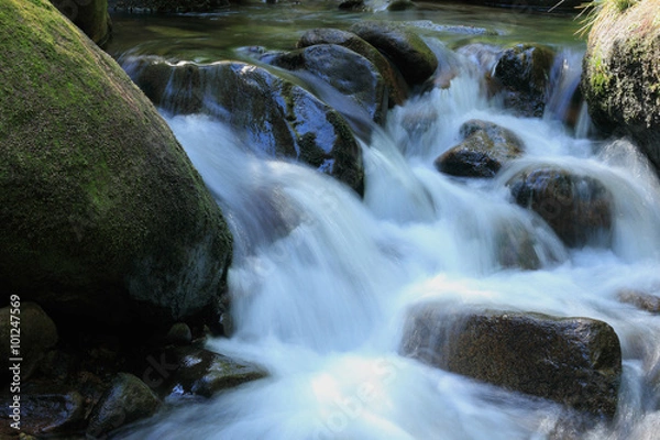 Obraz Mountain stream