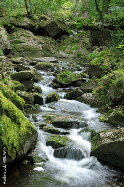 Obraz Mountain stream