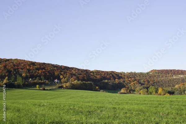 Fototapeta Thüringer Wiesen