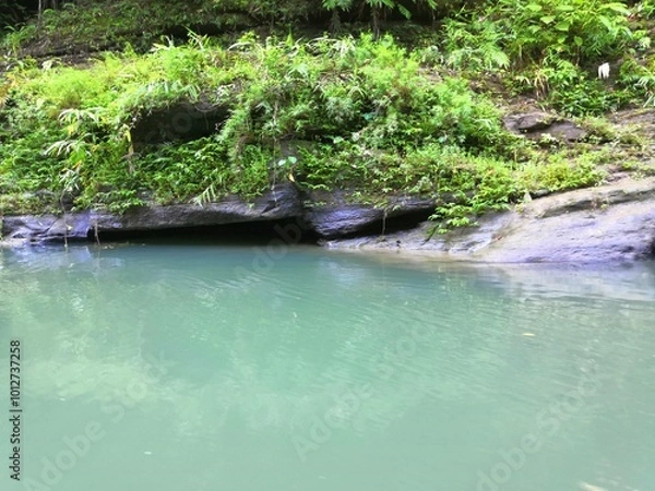 Obraz waterfall in the forest