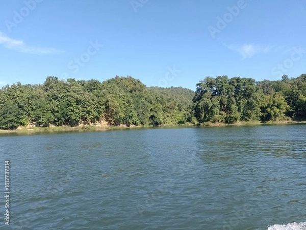 Fototapeta river in the forest