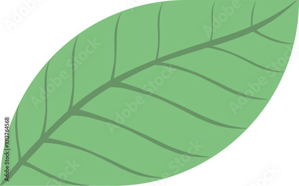 Fototapeta シンプルな葉のイラスト