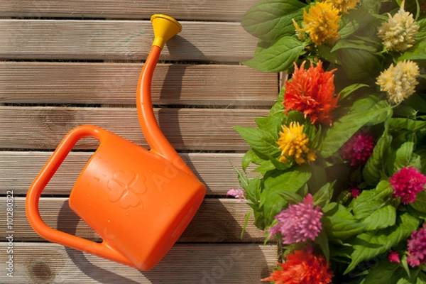 Fototapeta watering can and flowers