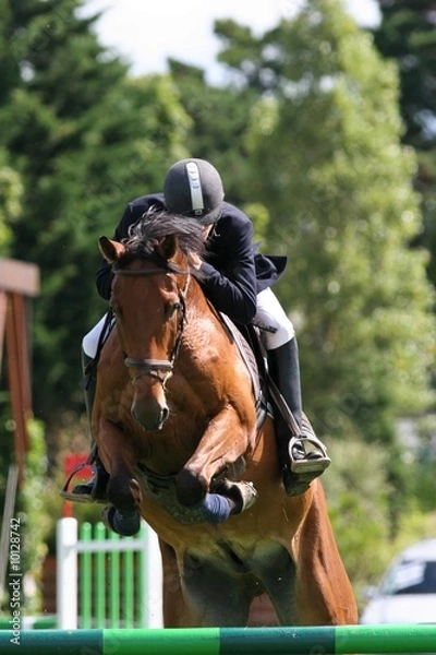 Obraz Horserider during a jumping contest