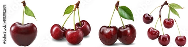 Obraz  Collage of cherry illustrations isolated on white background. Set of PNG isolated fruits.