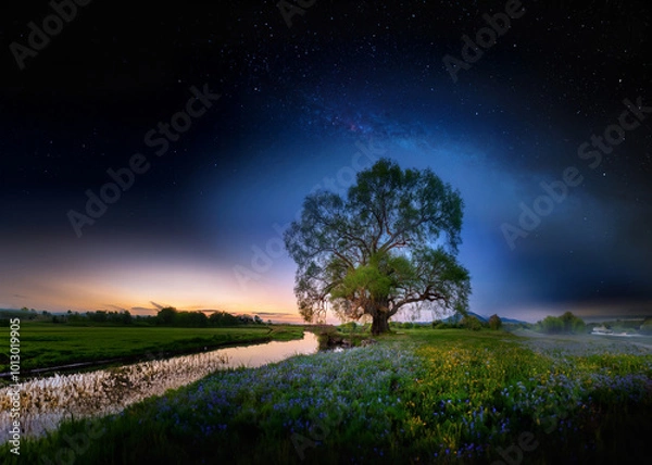 Obraz Baum mit Nachthimmel