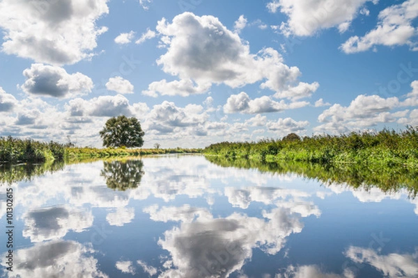Fototapeta Odbicie chmury cumulus w wodzie, rzeka Biebrza