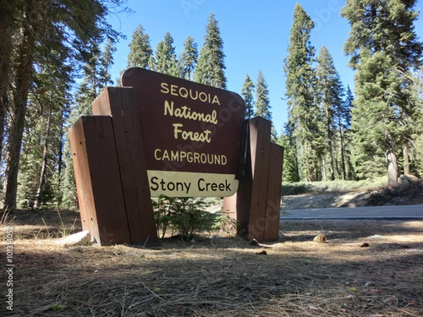 Obraz Sequoia national forest wooden entry sign - landscape photo