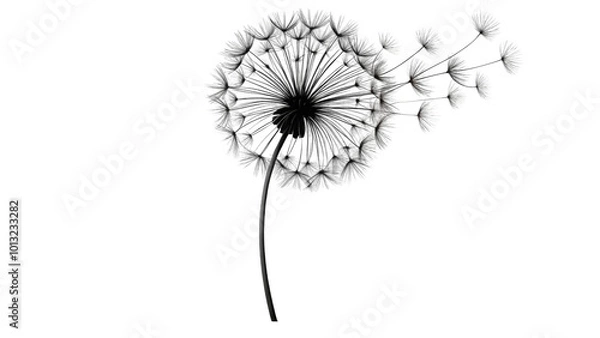 Fototapeta A lone dandelion stands in front of a transparent background and a few of its seeds float gently away. The minimalist design emphasizes simplicity and tranquility,with copy space. AI generated.