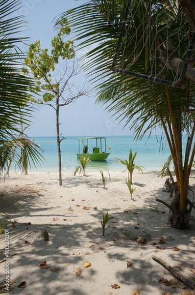 Fototapeta trees on the beach
