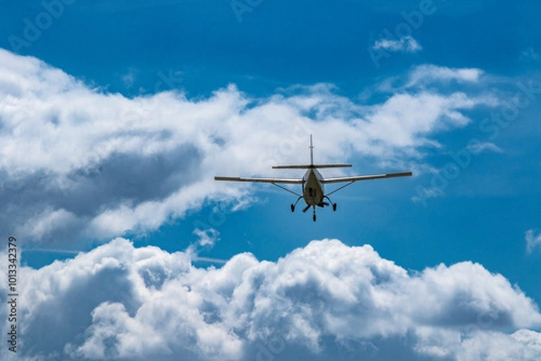 Obraz Plane flying away