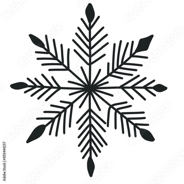 Obraz Snowflake 