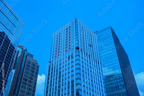 Fototapeta 高層ビル　オフィス街