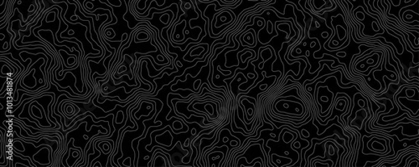Fototapeta Vector Topography Graphics Designed for Use in Cartographic and Digital Projects