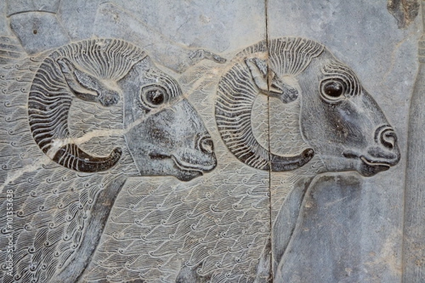 Obraz IRAN Persepolis: Goats