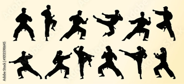 Obraz A series of martial arts silhouettes depicting various karate poses, including high kicks, punches, and defensive stances. The figures highlight balance, agility, and strength.