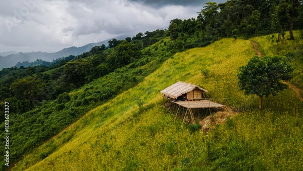 Obraz Sky above, roots below, peace within.