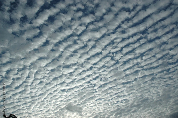 Obraz mackerel sky