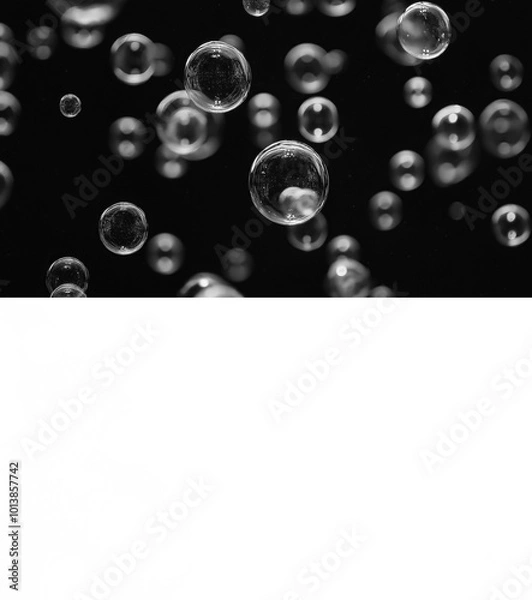 Fototapeta Falling soap bubbles on transparent background