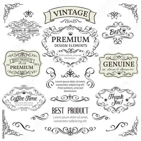 Fototapeta Calligraphic Design Elements .