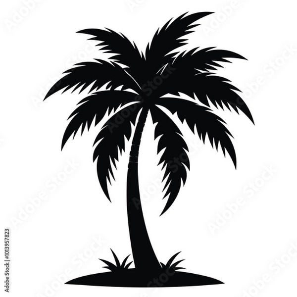 Fototapeta palm tree silhouette