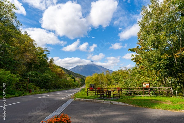 Obraz 北海道の道路の風景　羊蹄山方面