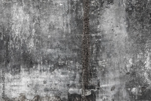 Obraz Old brick wall background
