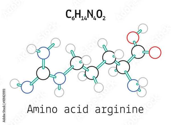 Obraz C6H14N4O2 amino acid Arginine molecule