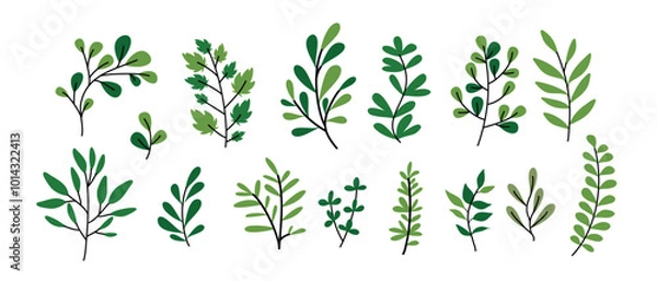 Obraz Leaf vector set,  elements for design , Leaves  on White Background