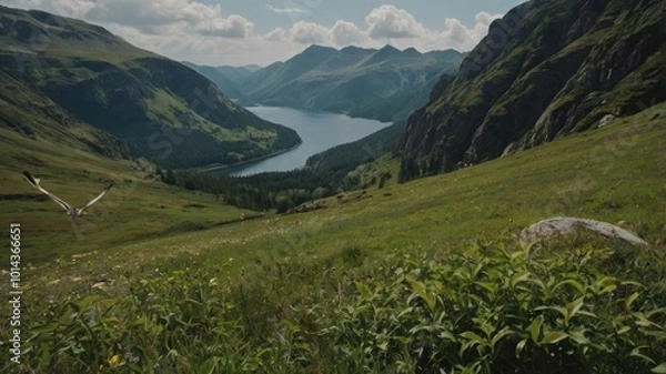 Obraz landscape in the mountains
