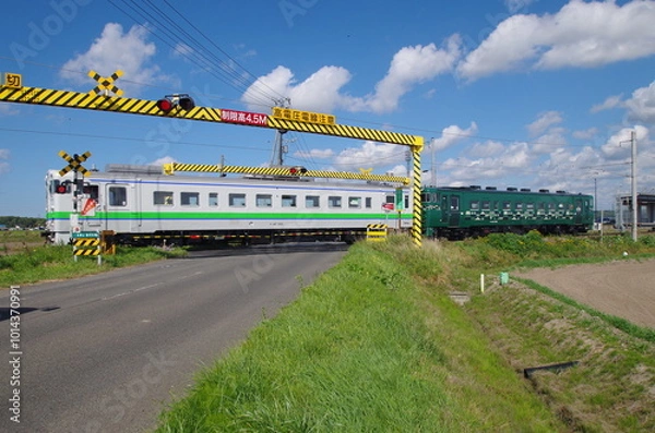 Obraz 札沼線の列車と踏切