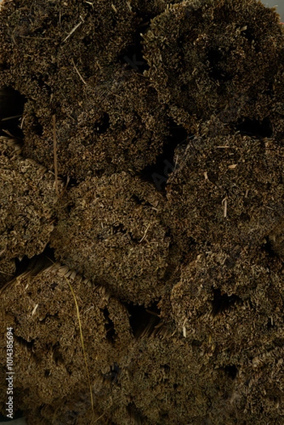 Obraz Detail of plant bundle group in close