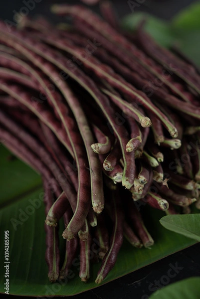 Obraz Purple long bean in bundle in market