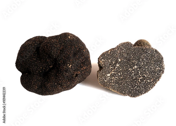 Obraz black truffle