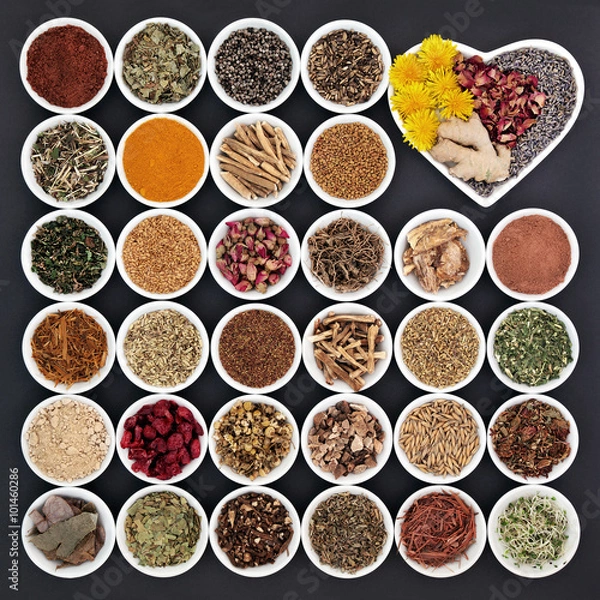 Obraz Herbal Health for Women