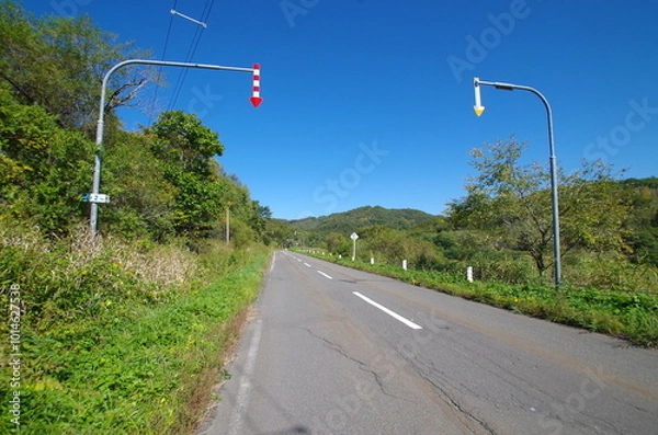 Obraz 北海道の道路
