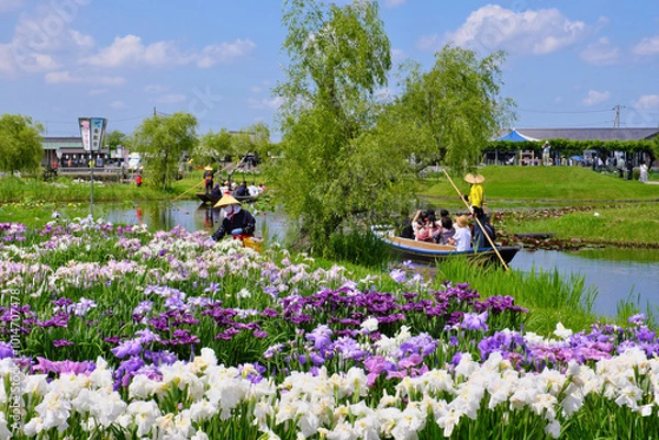 Obraz 水郷佐原あやめパーク　千葉県