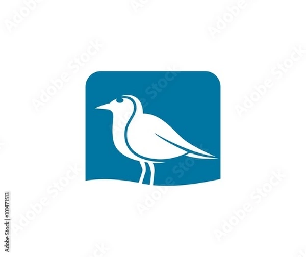 Fototapeta Bird logo