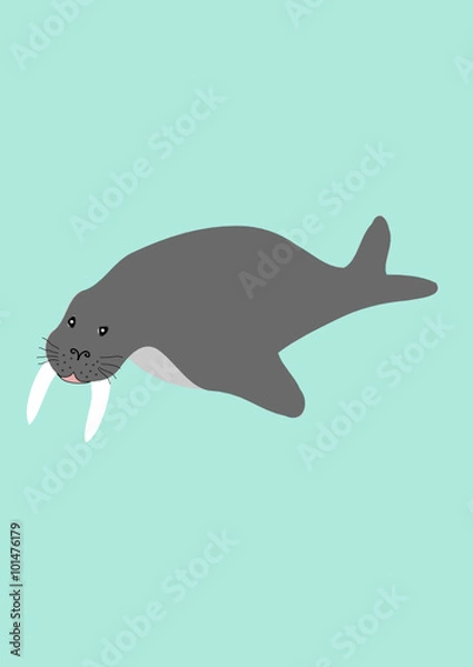 Obraz Walrus