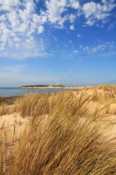 Obraz Küste mit Düne und Leuchtturm