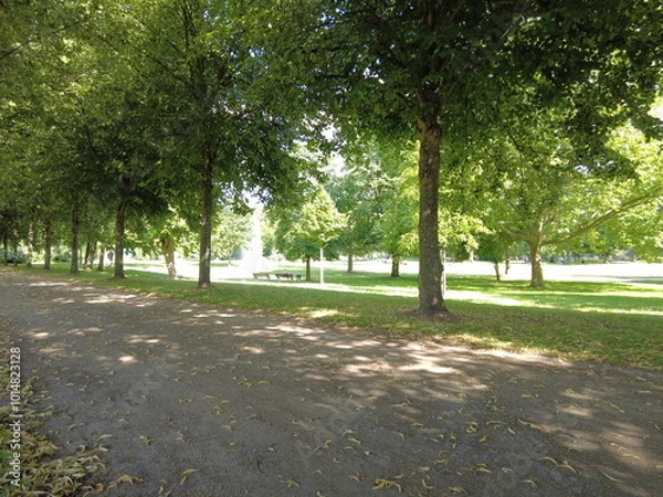 Fototapeta tree-lined walking path in the park