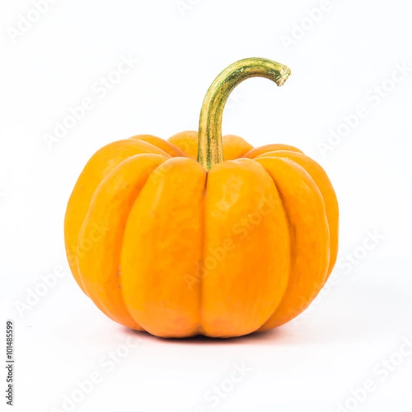 Fototapeta  pumpkin
