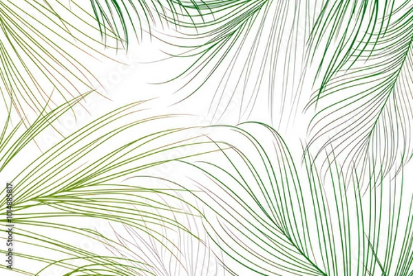 Fototapeta Palm leaves with lines on a white background.