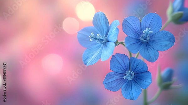 Obraz A macro shot of a blue larkspur flower  a blurred soft color background